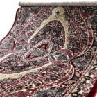 كلاسيك. H4834C. احمر وتعدد الأوان(2)