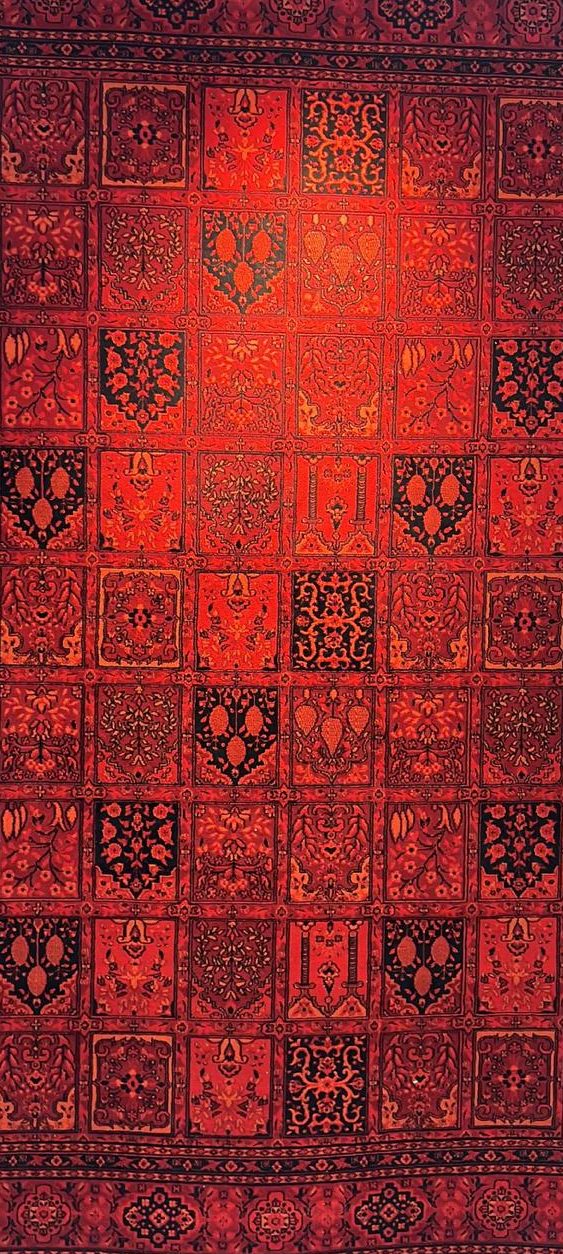 IMG-20240226-WA0009 IMG-20240226-WA0009